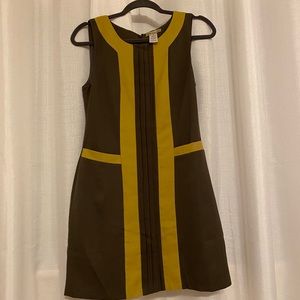Fall transition dress